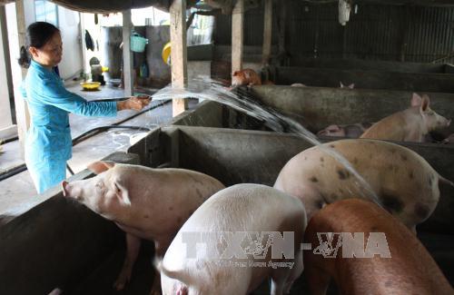Khai thông thị trường cho mặt hàng nông sản